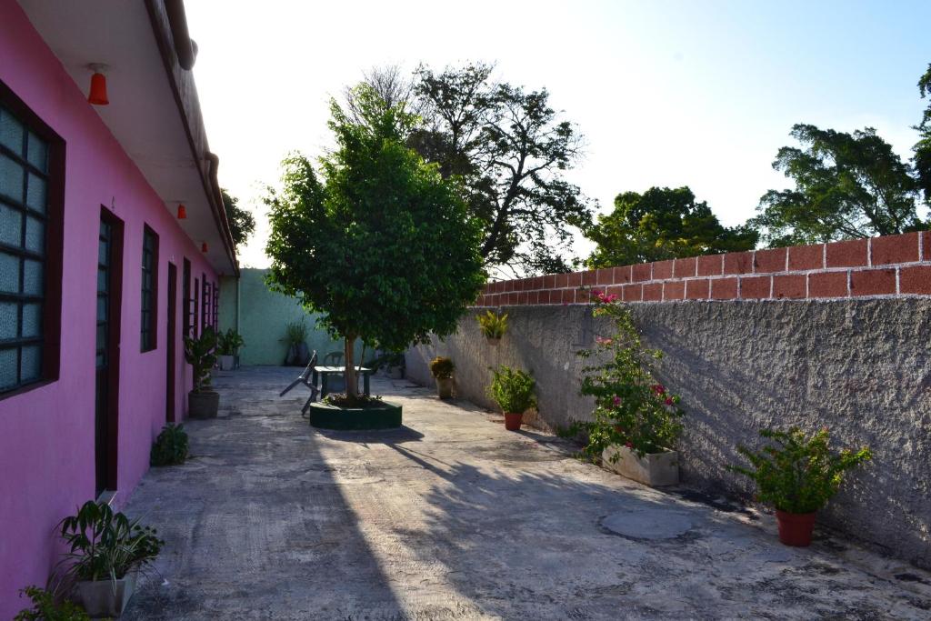 Fotografie z fotogalerie ubytování Casa Cuevas & Amaro v destinaci Mérida