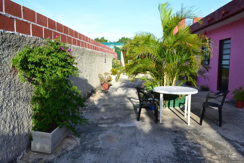 Fotografie z fotogalerie ubytování Casa Cuevas & Amaro v destinaci Mérida