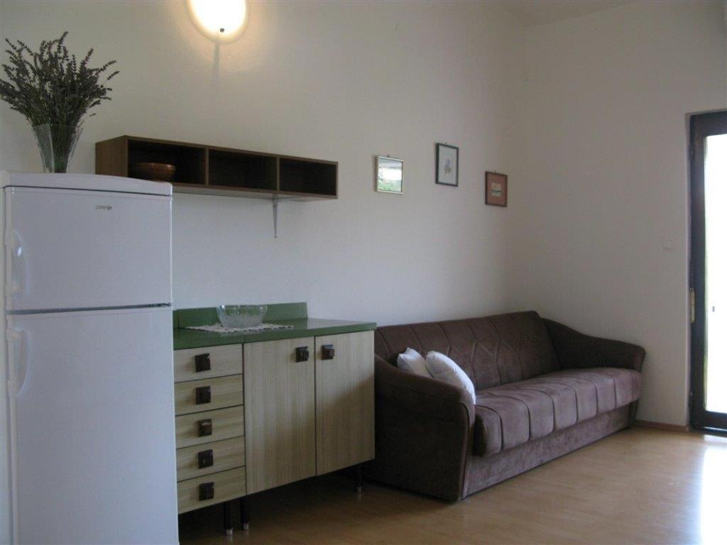 Kuchyňa alebo kuchynka v ubytovaní Apartment Palit 16356b