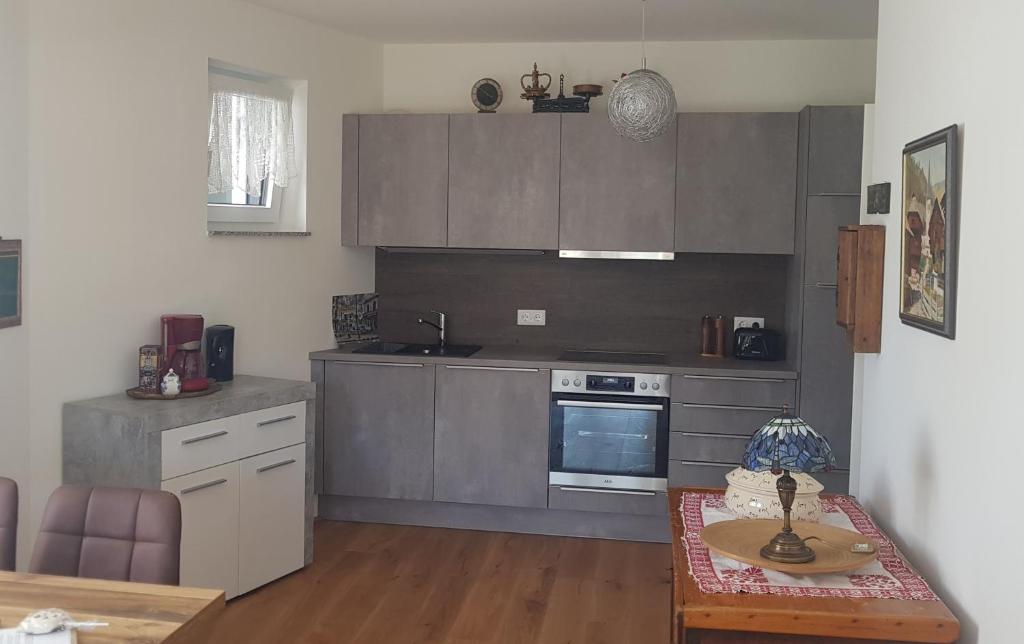 Kuchyň nebo kuchyňský kout v ubytování Ferienwohnung Karasek Deluxe