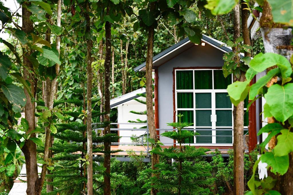 Zahrada ubytování One khaokho homestay