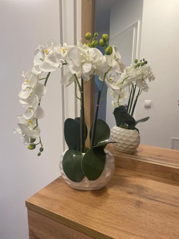 two vases with flowers in them on a shelf at Sorinas Home - Comfortable Apartment near Graz - Free Parking in Wagersbach