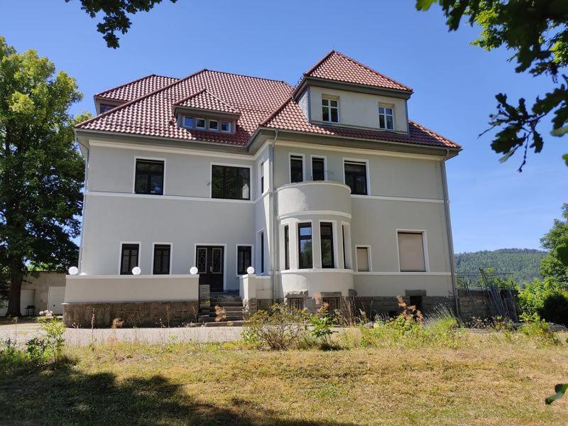 een groot wit huis met een rood dak bij Parkvilla Köhler in Zella-Mehlis
