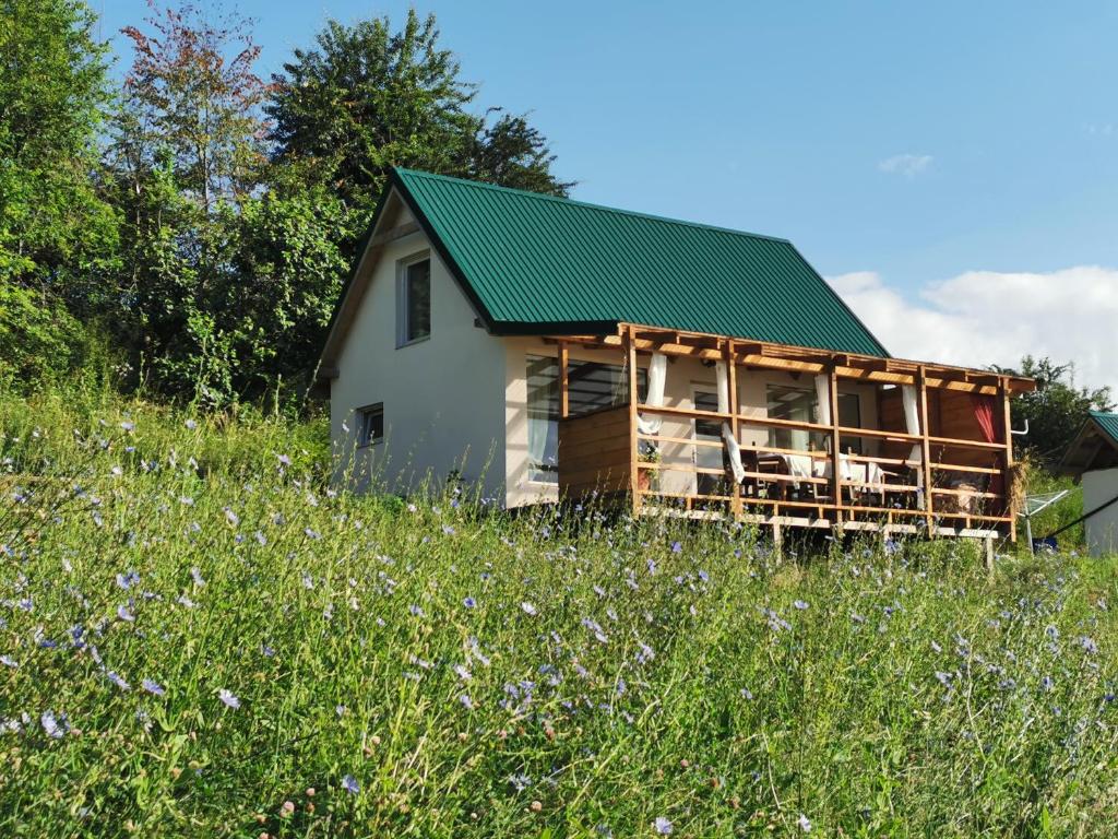 uma casa numa colina com um telhado verde em Przystan Ramotowo em Lidzbark Warminski