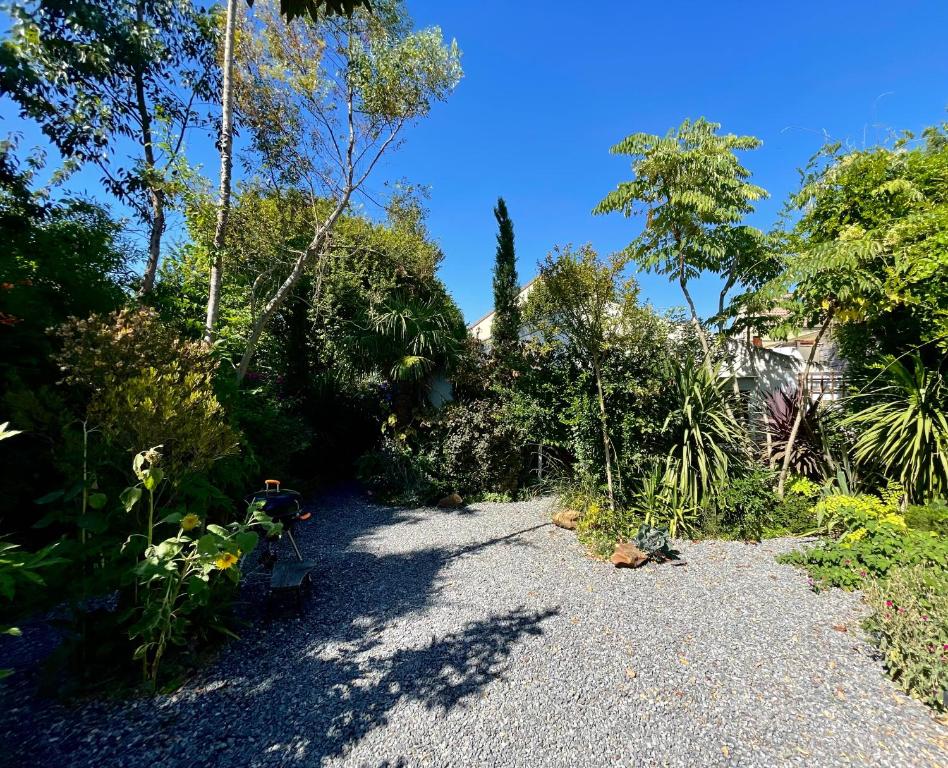 un chemin de gravier dans un jardin arboré dans l'établissement Maison dans sa Jungle, aux milliers d’espèces…, à Montmagny