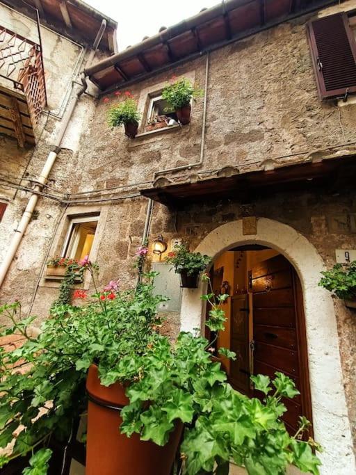 Giglio Vallerano. Alloggio turistico - Apartamento De Dos Dormitorios