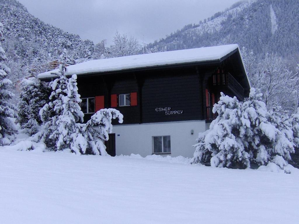 a building covered in snow with trees in front of it at Chalet Esher Surrey in Ried-Brig