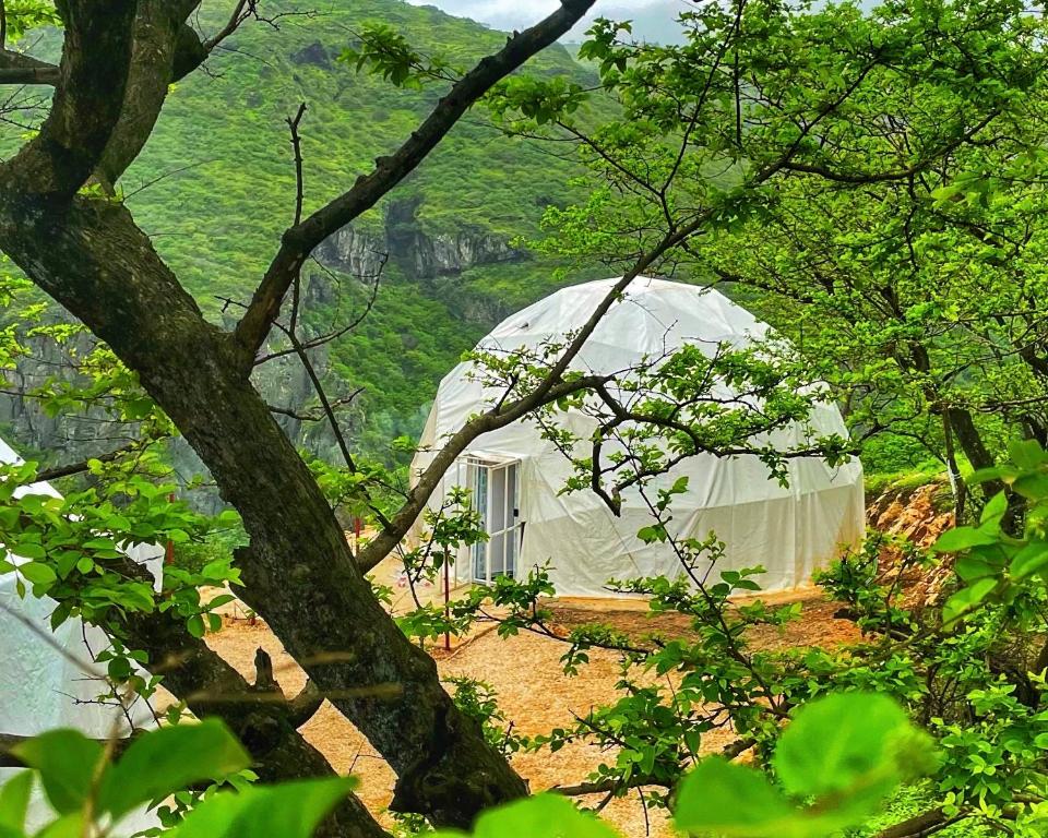 a white dome tent in the middle of a forest at Serene Glamping سيرين in Salalah