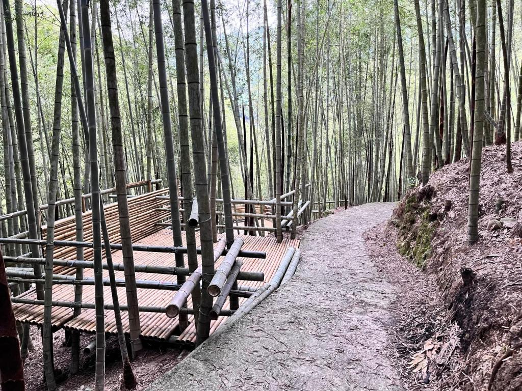 a trail in a bamboo forest with benches on it at 牛奶森林 柏竺山莊Bozhu villa in Sanyi