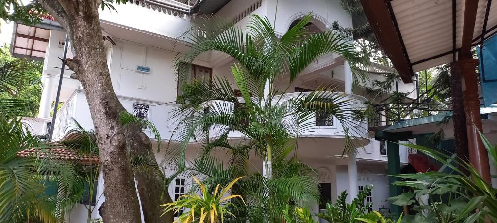 Shady transit hotel - 3