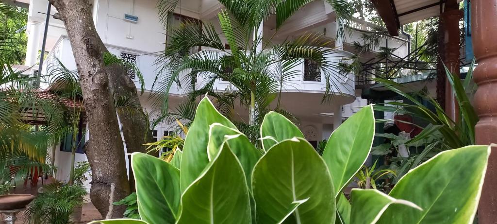 Shady transit hotel - 2