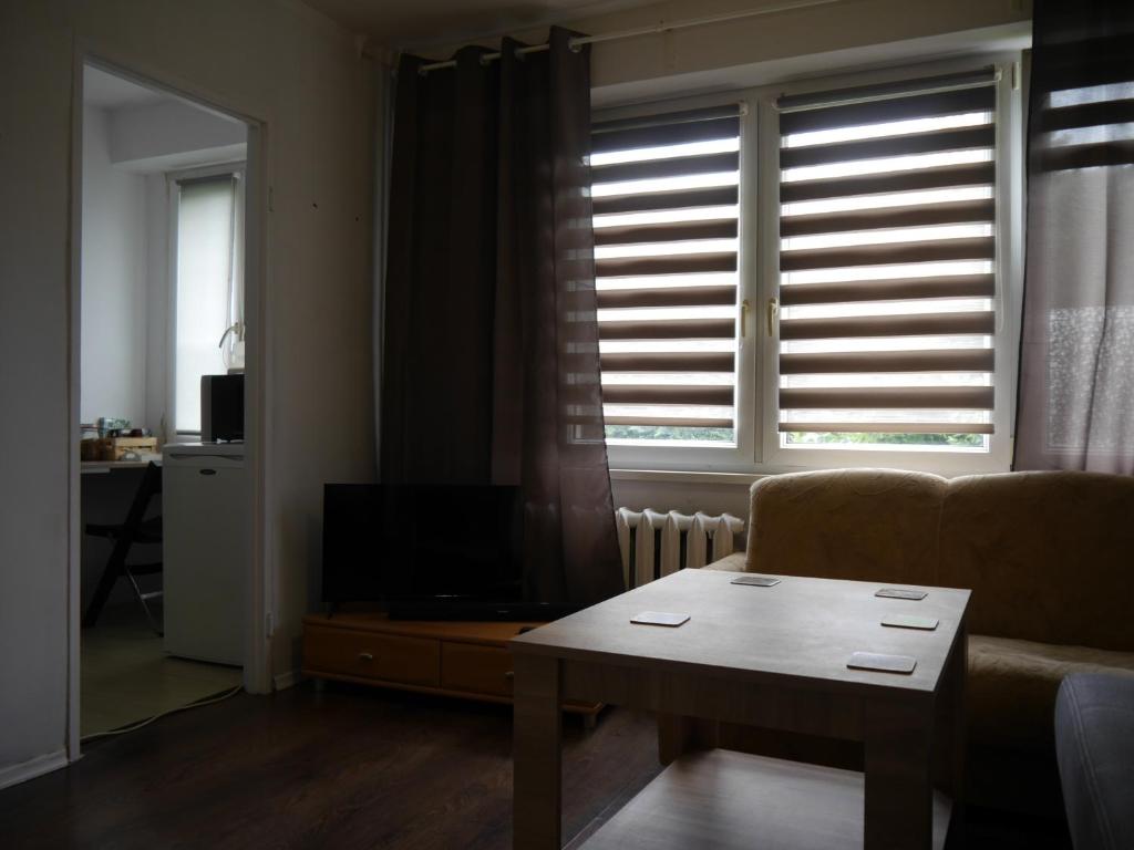 シェドルツェにあるMieszkanie dwupokojowe 33mのリビングルーム(ソファ、テーブル付)、窓が備わります。