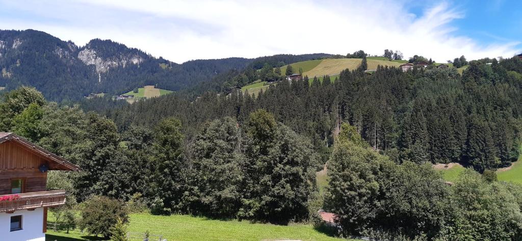 Príroda v okolí apartmánu