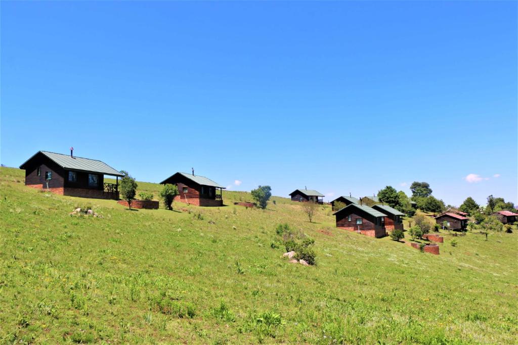 a group of houses on top of a grassy hill at Malolotja Log Cabins in Mbabane