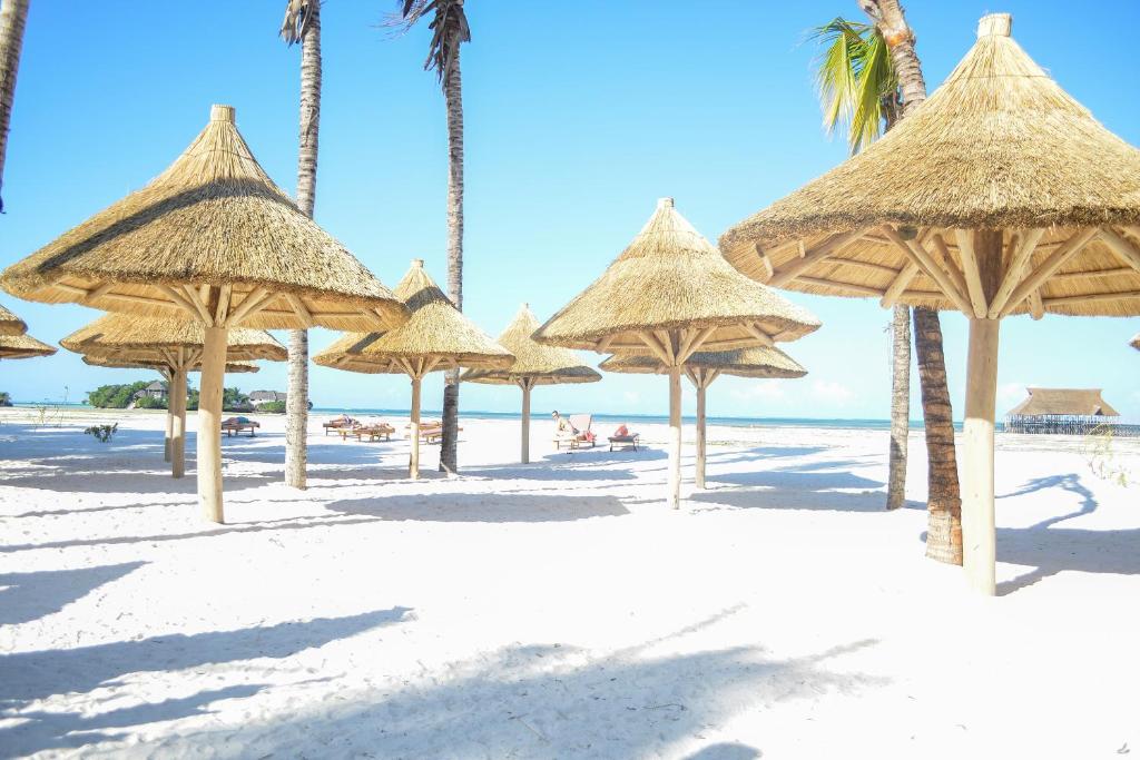 a beach with many straw umbrellas and palm trees at TOA Hotel & Spa Zanzibar in Pongwe