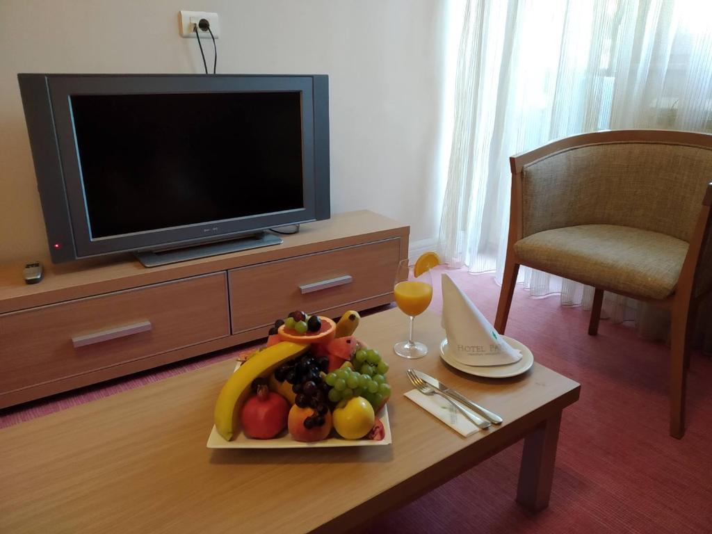 TV a/nebo společenská místnost v ubytování Hotel Park Ivanjica