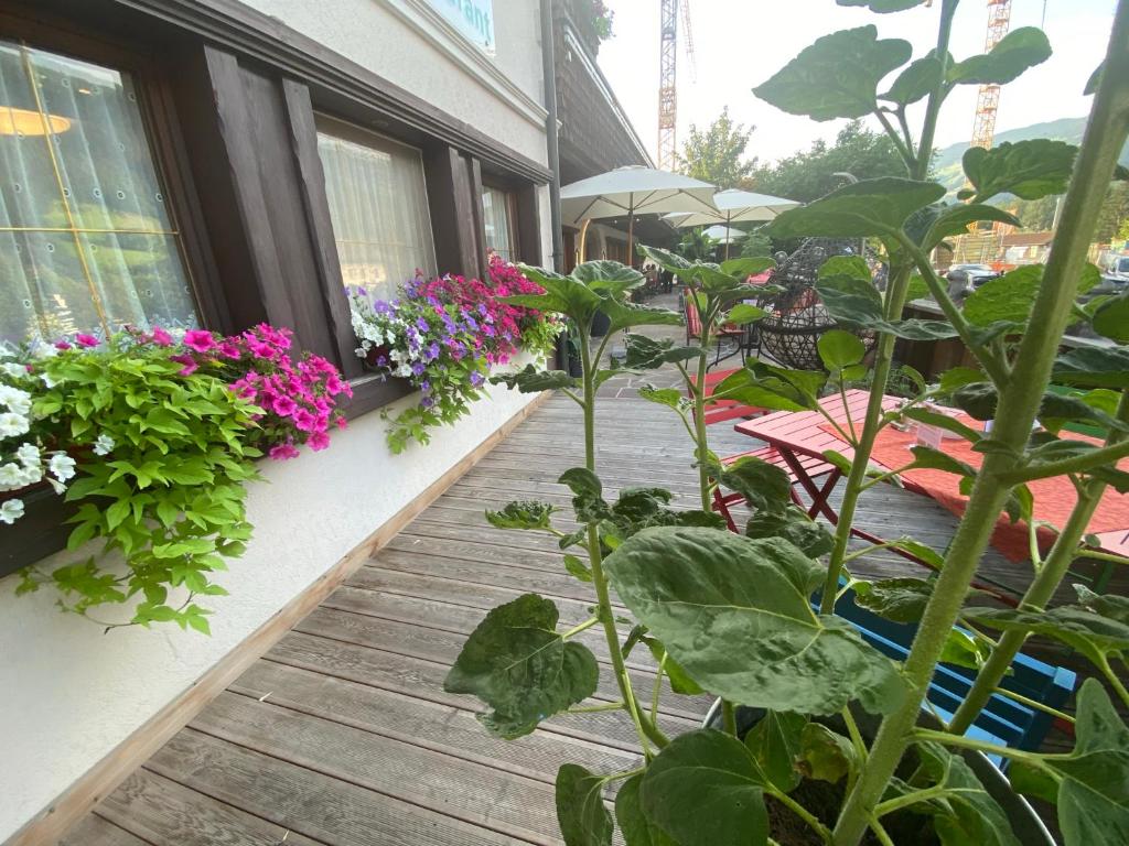 Zahrada ubytování Hotel Standlhof Zillertal