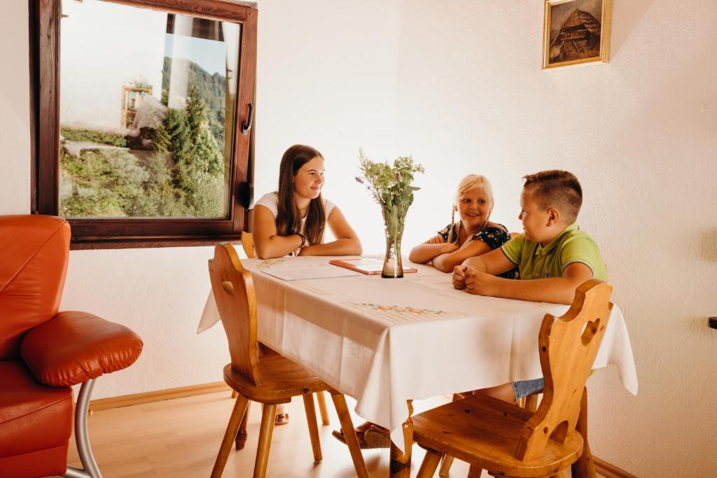 Hosté ubytování LINCA Hiška pod slapom