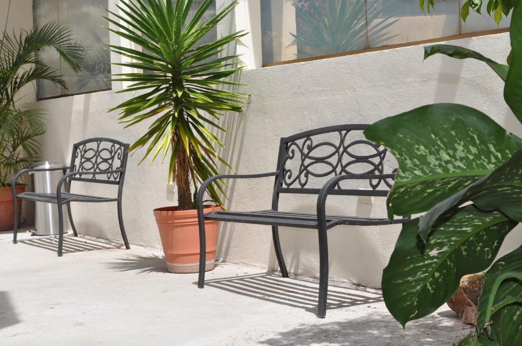 Fotografie z fotogalerie ubytování Hotel Flamingo Kristal v destinaci Irapuato