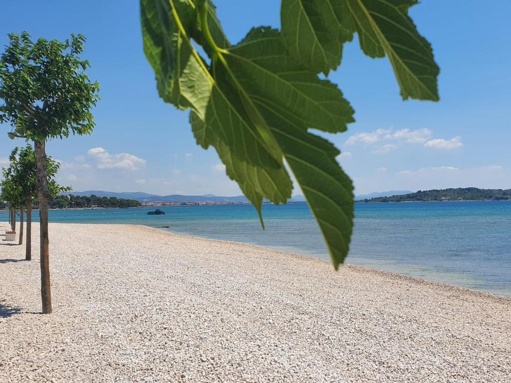Príroda v okolí apartmánu