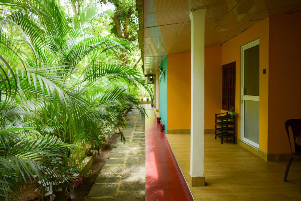 Zahrada ubytování Palitha Homestay