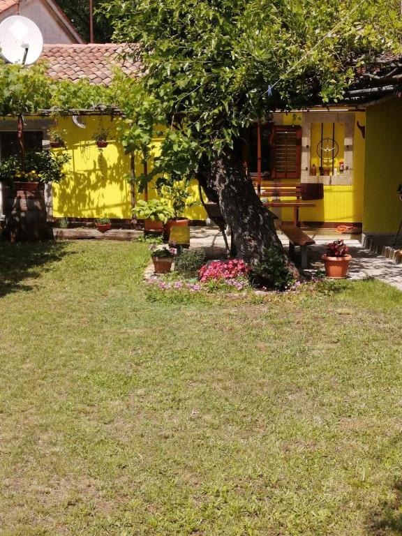 Ogród w obiekcie Holiday house Nono
