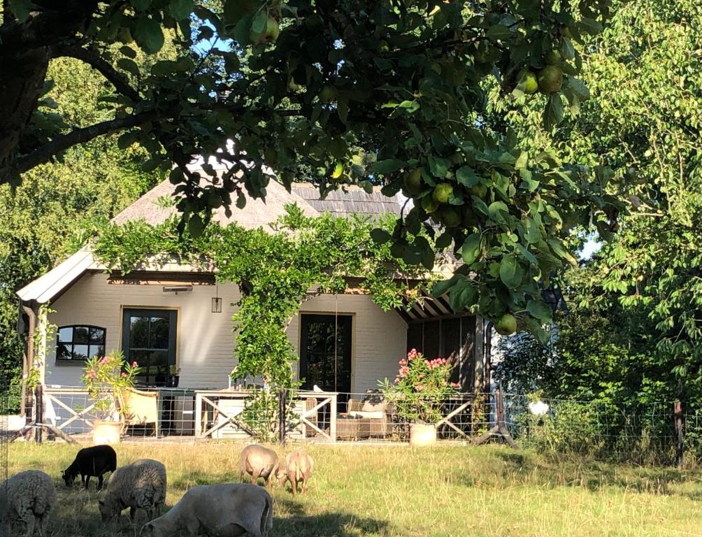 Taman di luar Het Buitengebied