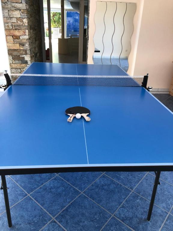 a blue ping pong table in a room at BluVilla in Malvaglia