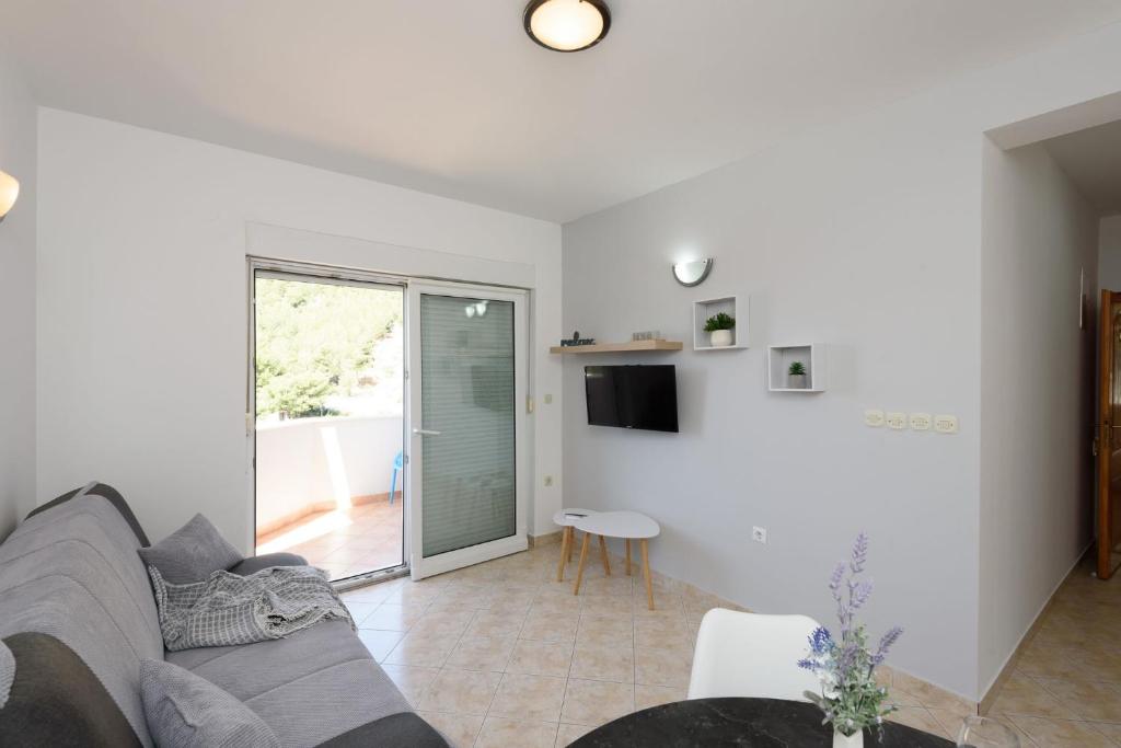 Televízia a/alebo spoločenská miestnosť v ubytovaní Apartments Bjelis
