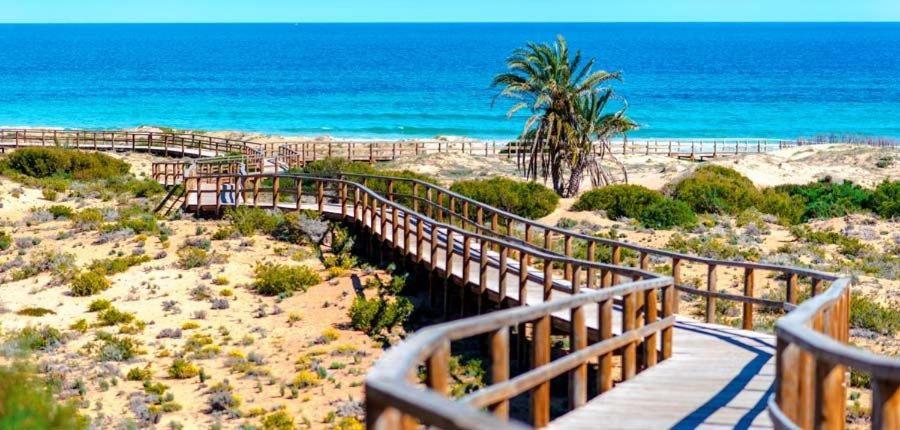 Calle canarias, Gran Alacant – Updated 2023 Prices