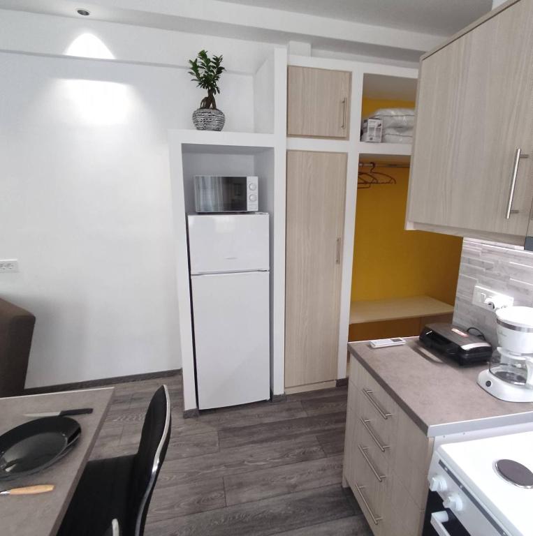 Kuchyňa alebo kuchynka v ubytovaní PETMEZA APARTMENT 1 Aigio City F