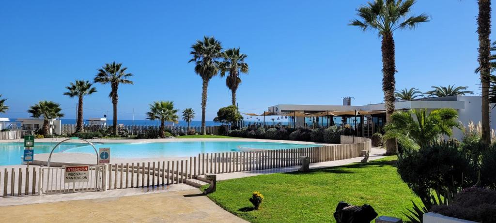 a resort with a swimming pool with palm trees at VIVE LA EXPERIENCIA, PLAYA, SPA, CASINO DE JUEGOS in Coquimbo