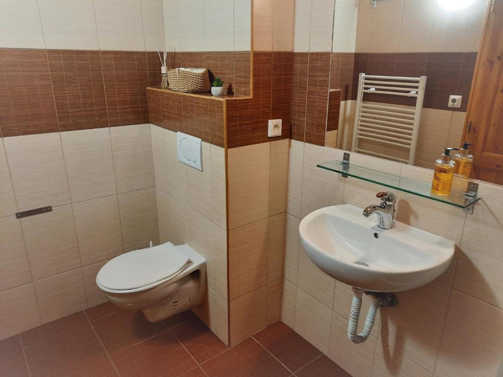 Koupelna v ubytování Velký apartmán Cihlarka