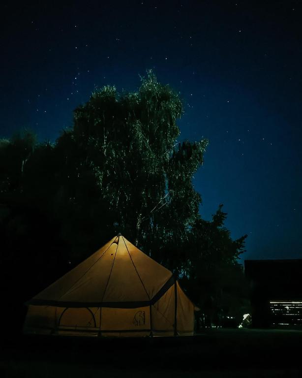 a tent in front of a tree at night at Rubeni in Stāķi