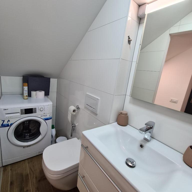 um banheiro com máquina de lavar e pia em Apartment DINLUX em Maribor