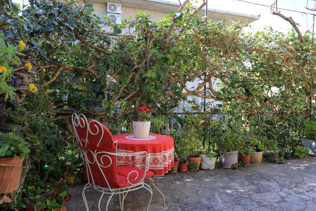 Zahrada ubytování Apartment Supetar 16656b