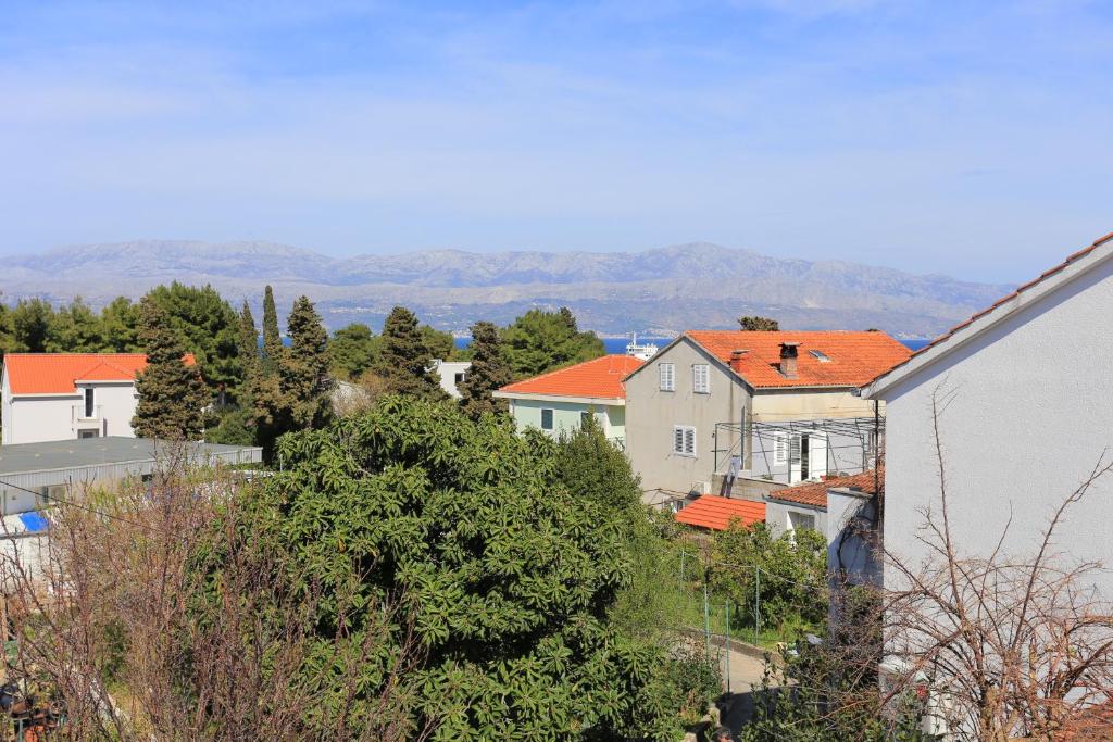 Příroda nedaleko apartmánu