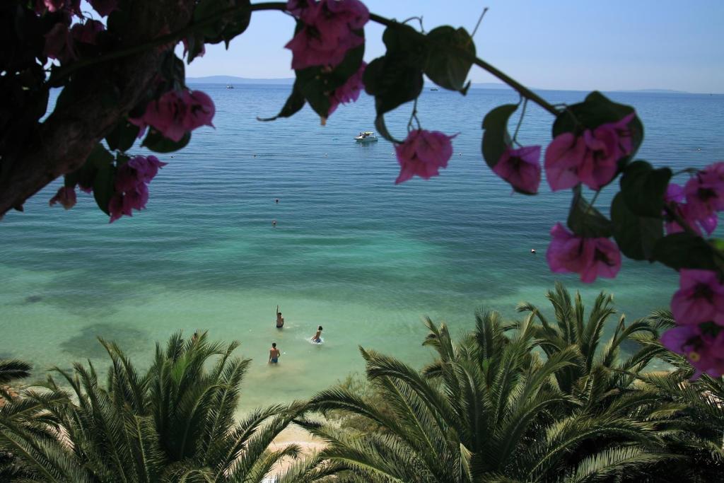 Fotografia z galérie ubytovania Apartments by the sea Podstrana, Split - 16829 v destinácii Podstrana