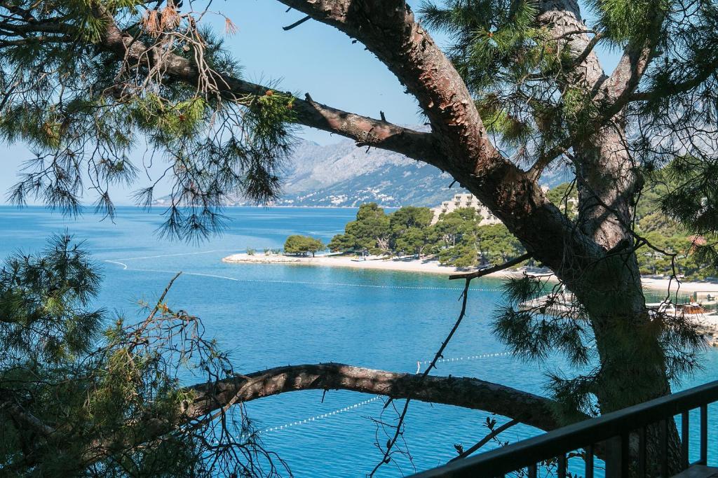 Príroda v okolí apartmánu