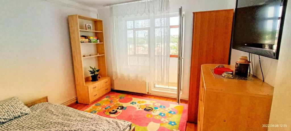 トゥルグ・ムレシュにあるApartment Niceviewのベッド1台とテレビが備わる小さな客室です。