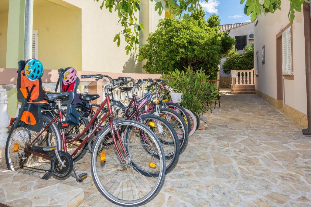 Jazda na bicykli v okolí ubytovania Apartments with a parking space Vir - 18561