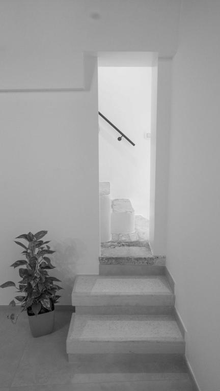 Fotografie z fotogalerie ubytování Casa Minerva - Suite e Relax v destinaci Gioia del Colle