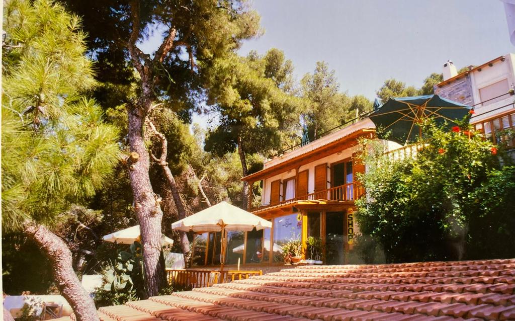 a house with a tree and a patio and a building at Sea-side 3 BEDROOM- BEACH HOUSE in Poros