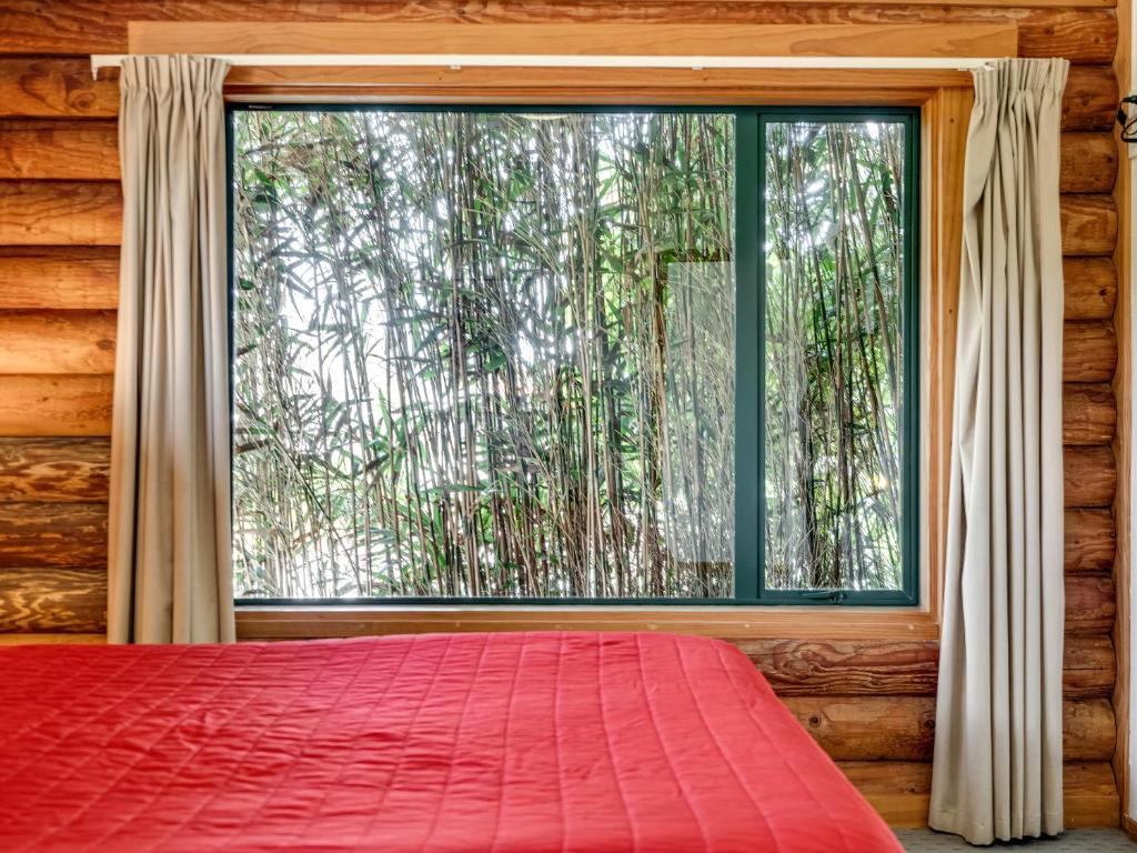 Shining Star Beachfront Accommodation - Resim 19