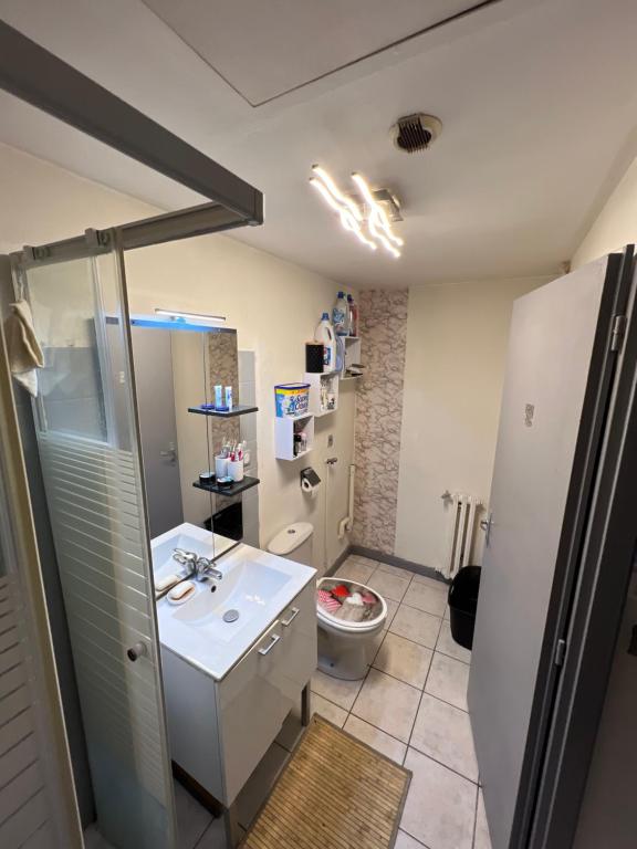 uma casa de banho com um lavatório e um WC em Jacuzzi au cœur de Bordeaux em Bordeaux