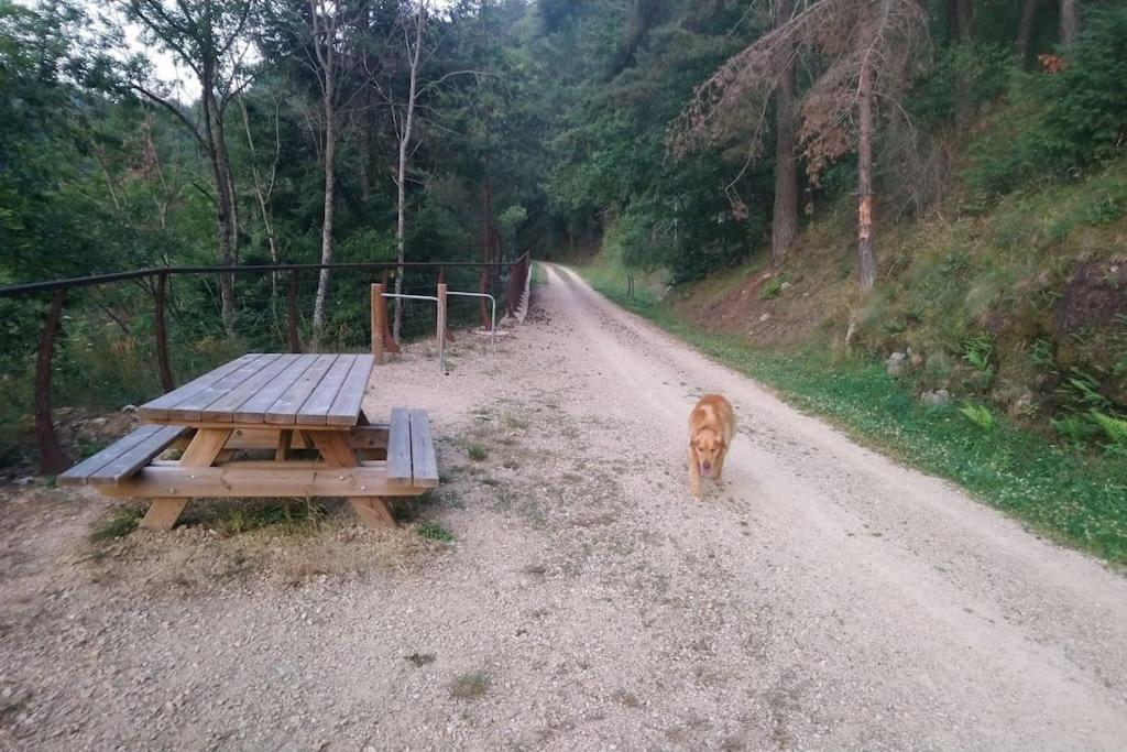 Przyroda w pobliżu tego apartamentu