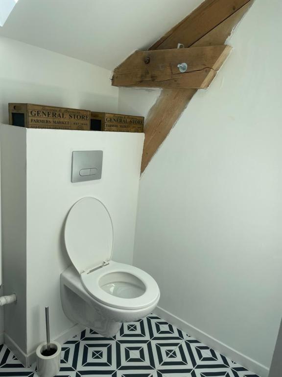 a bathroom with a white toilet in a room at Duplex près de Nantes in Thouaré-sur-Loire