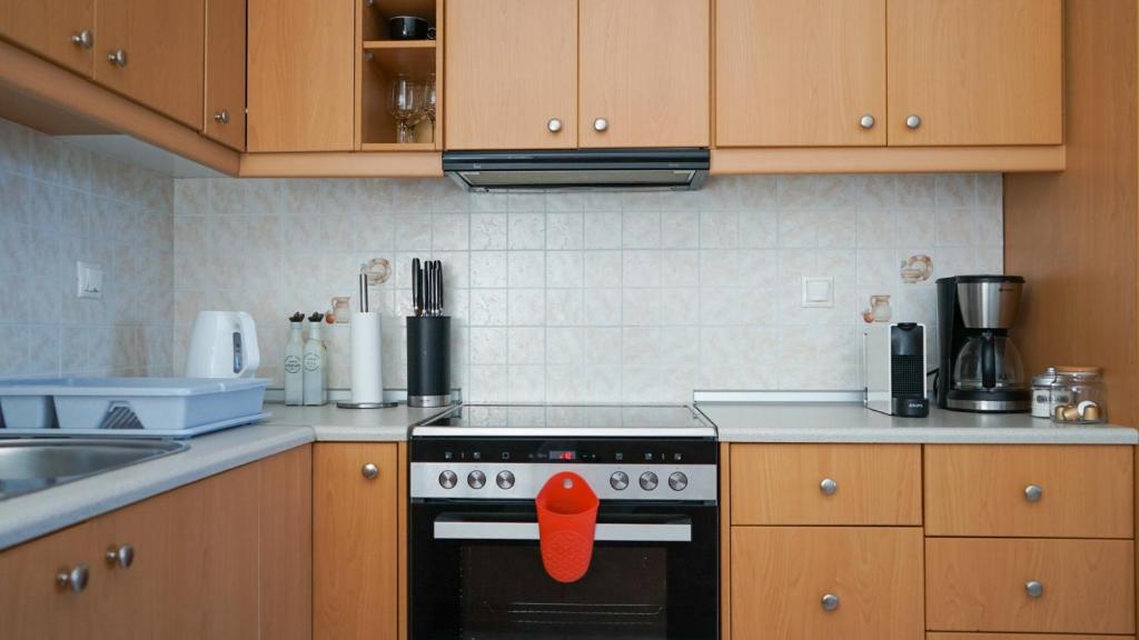 Kuchyň nebo kuchyňský kout v ubytování Urban Blue House