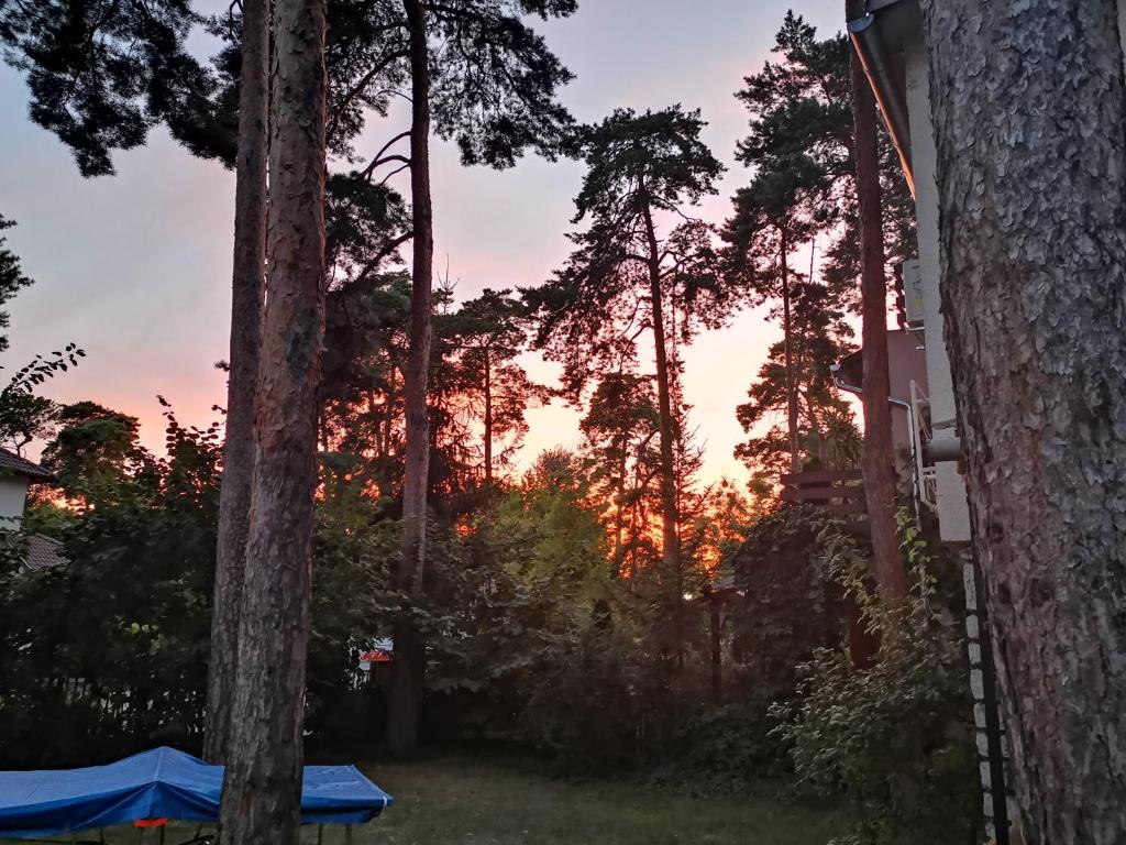 Východ nebo západ slunce při pohledu z penzionu nebo okolí
