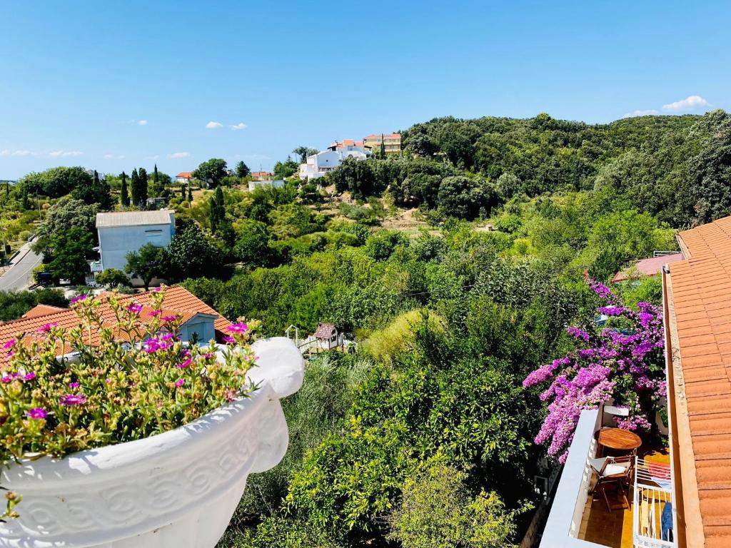 Príroda v okolí apartmánu